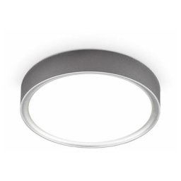 I Plafonnier led 12 w i 4.000K i 25 cm de diamètre i 1.200 lumen i lumière blanche neutre i argent