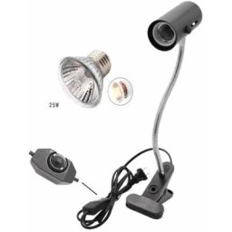 Support de lampe de tortue reptile lampe chauffante réservoir interrupteur clip avec lampe ampoule