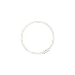 Sylvania Circline Plus - Ampoule fluorescente - forme : T5 - givré finition - 2GX13 - 40 W - classe