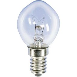 00789510 Ampoule de vélo 14 v 5 w clair 1 pc(s) S10917 - Barthelme