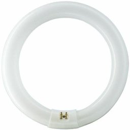 Philips - Tube fluorescent circulaire 32w ø30cm triphosphor 840k lumière du jour