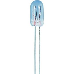 1590285 Micro ampoule incandescente 6 v 0.69 w T1 clair 1 pc(s) S075631 - Tru Components