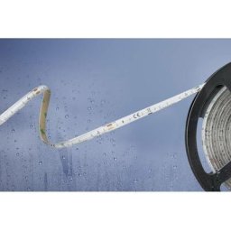 Ruban led Barthelme Basic 51540334 51540334 n/a blanc froid n/a