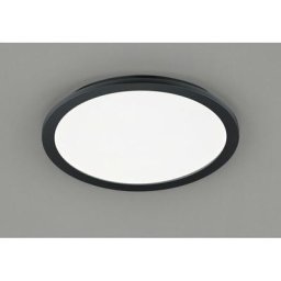 Plafonnier Camillus Noir Mat 1x24W SMD LED D40 - Noir