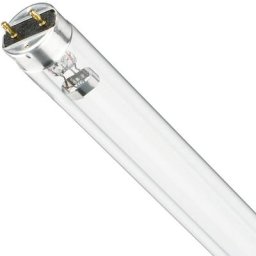 Philips - T8 uv - c 17W - Ultra-violet 60cm - Ultra Violet