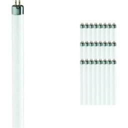 Philips - Lot 25x T5 Short 4W - 640 Blanc Froid 14cm - 4000K - Blanc Froid