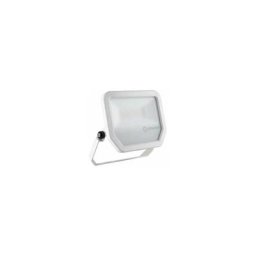 Ledvance - Projecteur d'éclairage led fl pfm 50 w 4000 k sym 100 wt 421288 50 w blanc neutre Y894972