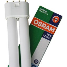 Dulux l 36W 865 Lumière du Jour - 4-Pins - 6500K - Lumière du Jour - Osram