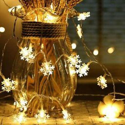 Guirlande lumineuse de flocon de neige, 6M 40 Pcs led à piles fairy lights, Monochrom à deux modes