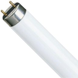 Philips - master tl - d Super 80 58W - 840 Blanc Froid 150cm - unp - 4000K - Blanc Froid