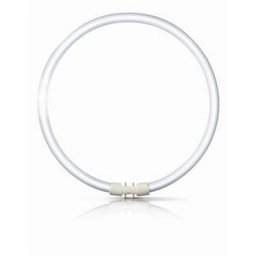 Philips - Tube tl Circulaire ⌀29,3cm Blanc Froid 2GX13 55W - Blanc