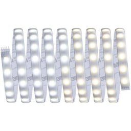 MaxLED Tunable White 70624 Ruban led (Base) avec connecteur mâle 24 v 3 m blanc chaud, blanc