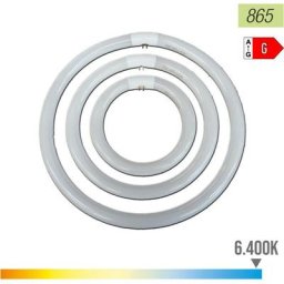 Tube fluorescent circulaire 22w ø21cm triphosphor 865k lumière froide Philips