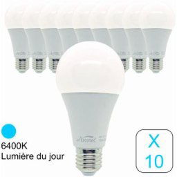 Lot de 10 ampoules LED E27 standard 15,3W 1521Lm 6400K - garantie 2 ans