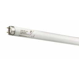 Tube fluo t8 hr 18w/860 1502