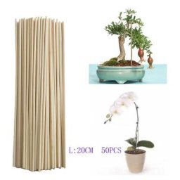 Barre de bambou barre de support de croissance des plantes petit bonsaï branche de vigne diy outil
