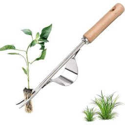 Désherbeur Manuel en Acier Inoxydable avec Outil de Manche en Bois Utilisé pour Le Désherbage