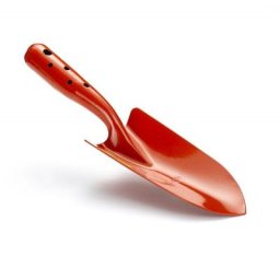 Wolf Transplantoir acier 8 cm lu