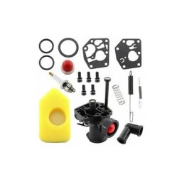Kit carburateur pour tondeuse à gazon Briggs & Stratton 499809 498809A 494406 et filtre à air
