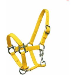 Cavezza XXJoli jaune: Scepttland creux en nylon mélangé pour scepttland avec mousqueton et deux