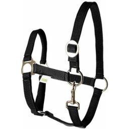Licol écurie équitation randonné pony design classic robuste bouclerie inox têtière réglable cheval