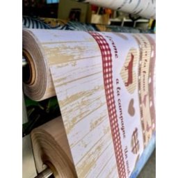 Toile Coton Enduit Imprimée Balade - Au mètre - 140 x 100 cm.
