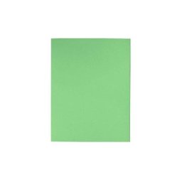 Chemise recyclée Excompta 24 x 32 cm verte - Paquet de 100 - Vert