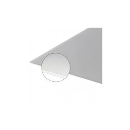 PLAQUE POLYCARBONATE ALVÉOLAIRE 4000 X 980 X 10MM - Coloris - Clair, Epaisseur - 10 mm, Largeur