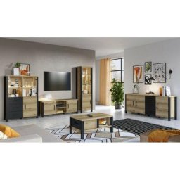 Ensemble de 5 meubles de salon collection darwin. Couleur chêne clair et noir. - Marron - Bois