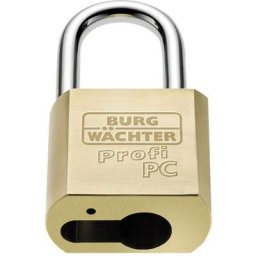Cadenas cadenas à cylindre profilé Burg Wächter 116 PC 50 HB 80 Niro laiton 1 pc(s) - laiton