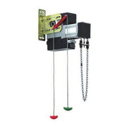 Motoréducteur Moteur Pour Portes Sectionnelles FAAC 540 V BPR 109512