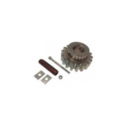 Pignon module 4 - BK – 119RIBK002