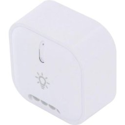 Module d'éclairage On/Off - 1000W DIO 54855 Q375882