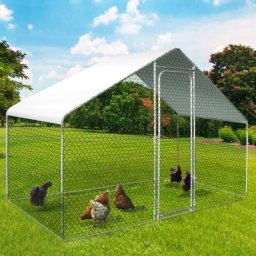 Enclos poulailler 3 m² parc grillagé 2,20x1,4 m acier galvanisé - Naturel
