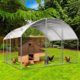 Enclos poulailler dôme 7,5 m² parc grillagé 3x2,5 m avec porte latérale - Naturel