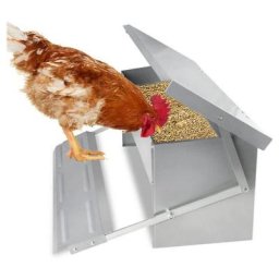 Mangeoire automatique avec couvercle Distributeur automatique Auge Auge d'alimentation résistante