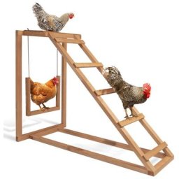 Aire de jeux en bois pour poules avec balançoire et perchoir - Naturel