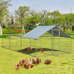 Costway - Poulailler en Acier Galvanisé 18㎡-6 x 3 x 1,95 m, Grand Enclos Poule avec Porte Verrou,