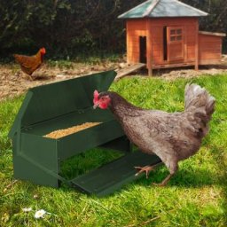 Mangeoire xl verte pour poules distributeur automatique à pédale en acier 5 kg - Vert