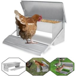 Aliment pour poule Mangeoire pour poules ,acier galvanisé ,Avec pédale à ouverture automatique