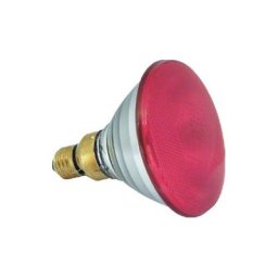 La lampe infrarouge à économie d'énergie vous permet de chauffer votre animal de compagnie en toute