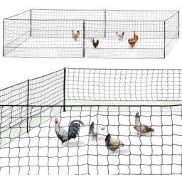 Kit clôture filet à poules 12 M avec porte 6 piquets double pointe - Noir