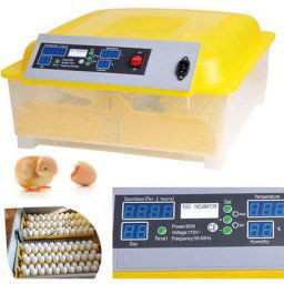 Couveuse Automatique 48 oeufs Intelligent - Incubateur pour l'éclosion de poussins 80W - Contrôle