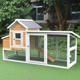 Poulailler Toit Renforcé s Toit Plastique 4 à 6 Poules