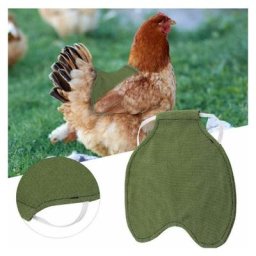 3pcs poulet selle canard gilet Protection ailes de poulet vestes tabliers de poulet accessoires de