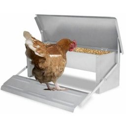 Mangeoire automatique avec couvercle Distributeur automatique Auge Auge d'alimentation résistante
