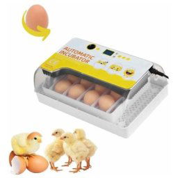 Couveuse Automatique 12 oeufs avec Mirage de led pour l'observation des oeufs - Incubateur