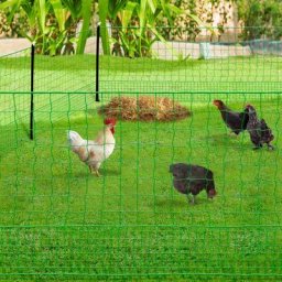 Kit clôture électrifiable filet à poules 12 m avec porte 6 piquets double pointe - Vert