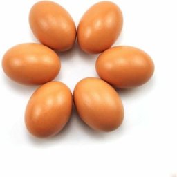Faux oeufs de poule Lot de 6 faux ufs en bois pour aider pondre des poules - Outil agricole