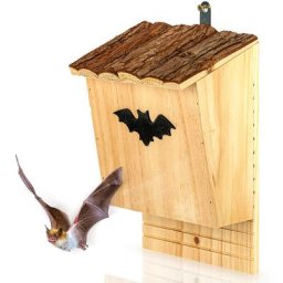 Nichoir pour chauve-souris habitable toute l'année aide à l'hivernage en bois de pin - Nature